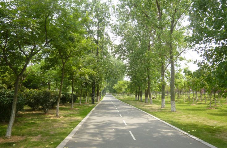 六安市河西景觀(guān)帶休閑健身
