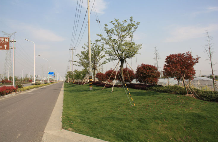 通途路景觀(guān)綠化工程