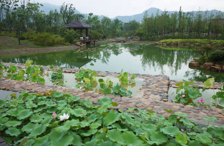 桐廬濱江景觀(guān)工程